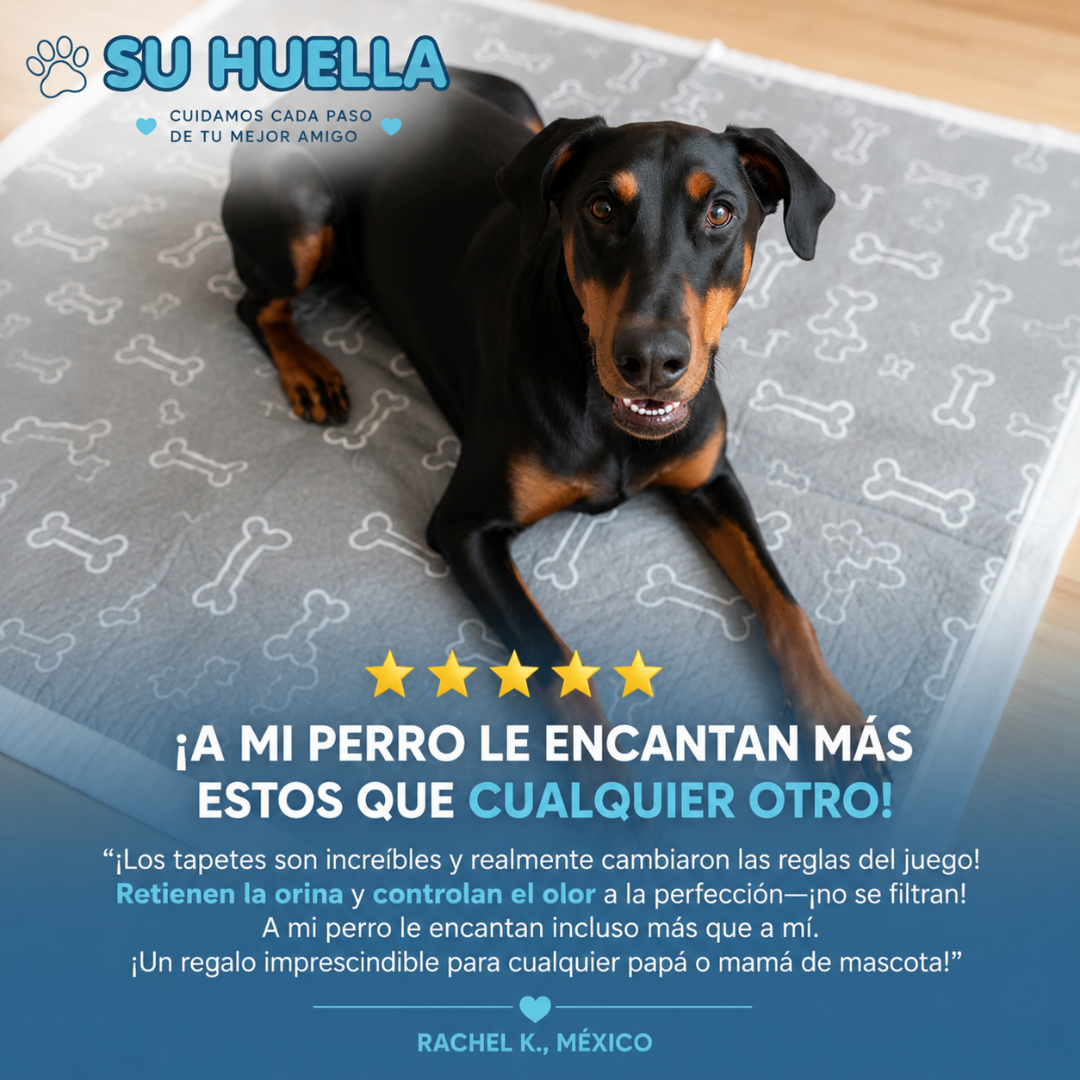 Tapete Higiénico Para Perros Reutilizable